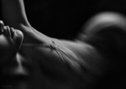 navigation thumbnail