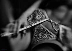 navigation thumbnail