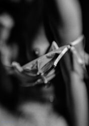 navigation thumbnail