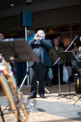 Les Zauto Stompers