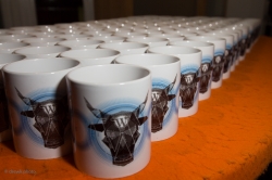 Wordcamp Brum 2015