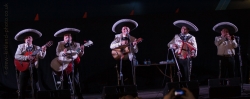 Link to The Mariachis