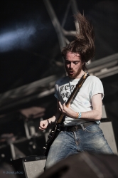 Link to Pulled Apart By Horses