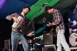 Link to The Felice Brothers